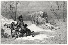 Noi i lupi non li abbiamo avuti - e i cavalli stavano bene. 