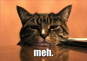 meh-cat