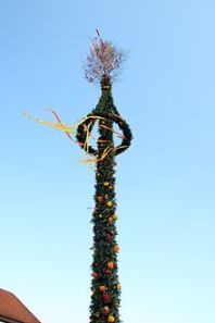 -Maibaum_Ostfriesland967